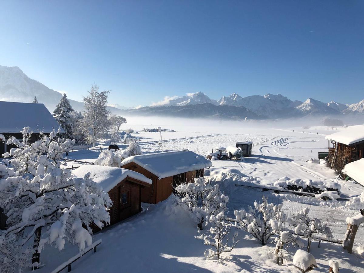 Gaestehaus Seeklause Швангау Номер фото