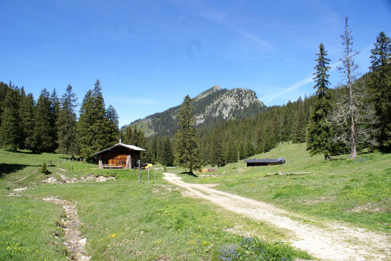 Gaestehaus Seeklause Швангау Экстерьер фото
